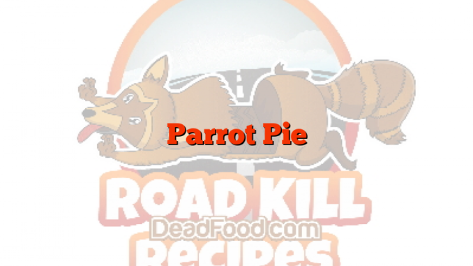 Parrot Pie