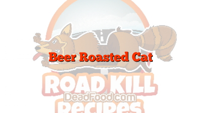 Beer Roasted Cat